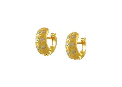 Dual Tone Plated | Fashion Earrings